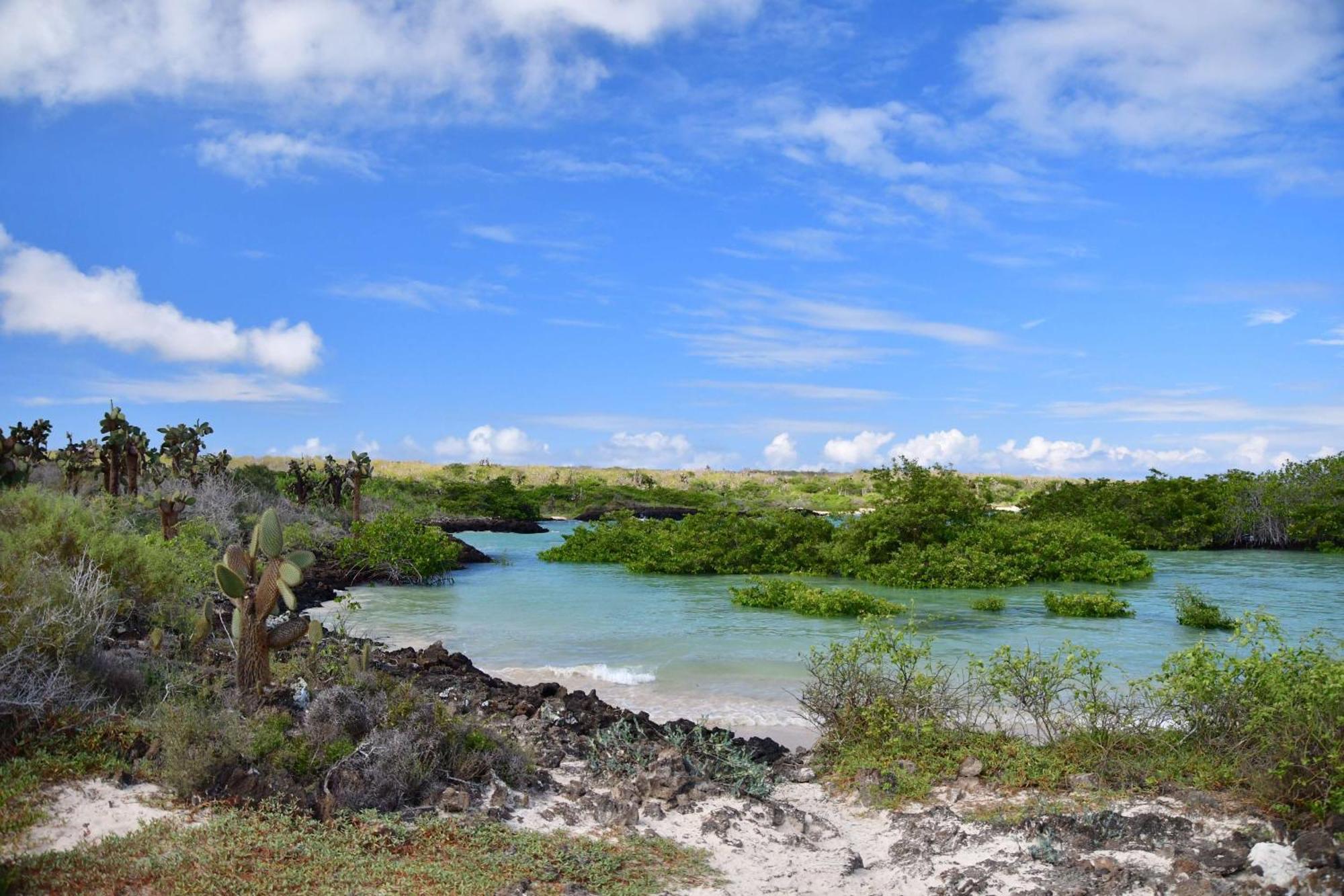 Bellavista  Royal Palm Galapagos, Curio Collection Hotel By Hilton מראה חיצוני תמונה